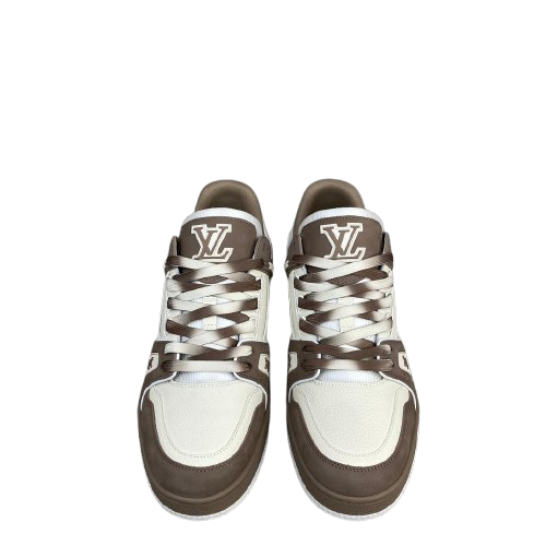 lv2 removebg preview